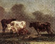 POTTER, Paulus Cows in a Meadow af oil painting on canvas